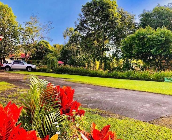 Befox Adventure Hotel La Fortuna Eksteriør billede